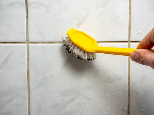 Best Affordable Mold Removal  in Sandersville, GA