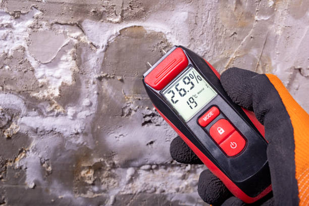 Trusted Sandersville, GA Mold Removal Experts