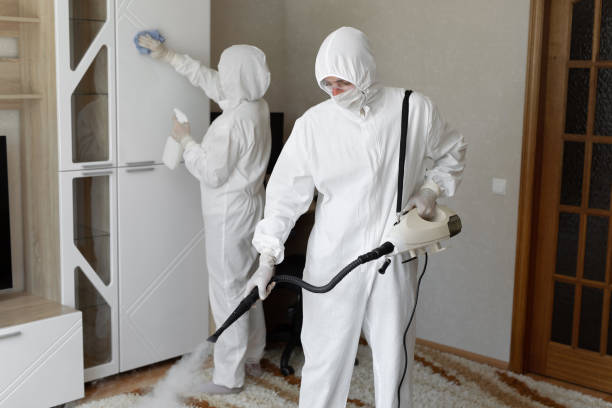 Best Office Mold Removal Services  in Sandersville, GA