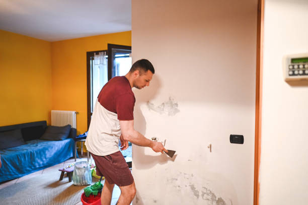 Best Home Mold Removal  in Sandersville, GA