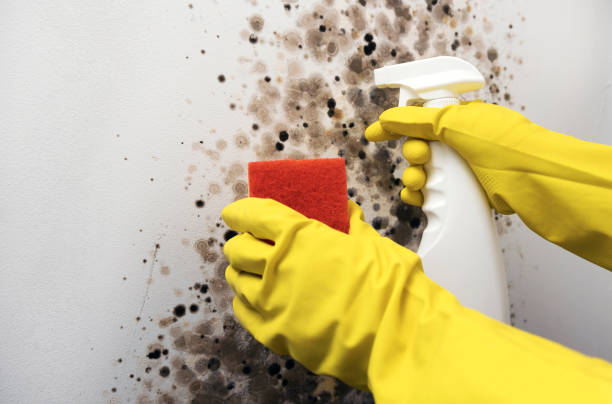 Water Damage Restoration in Sandersville, GA