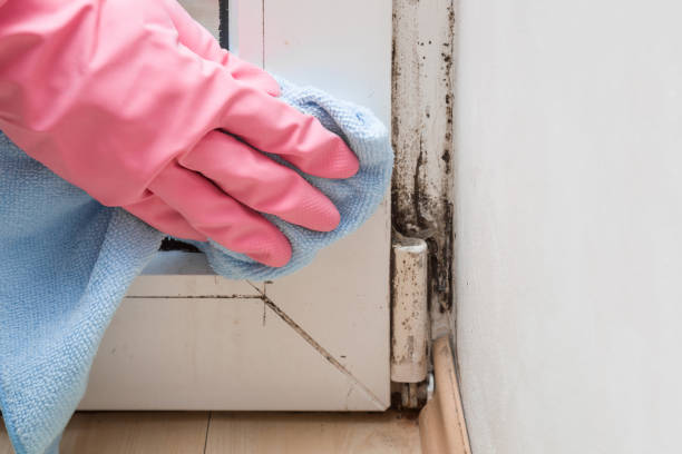 Best Certified Mold Removal  in Sandersville, GA