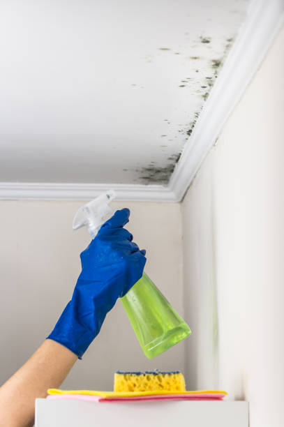 Best Water Damage Restoration  in Sandersville, GA